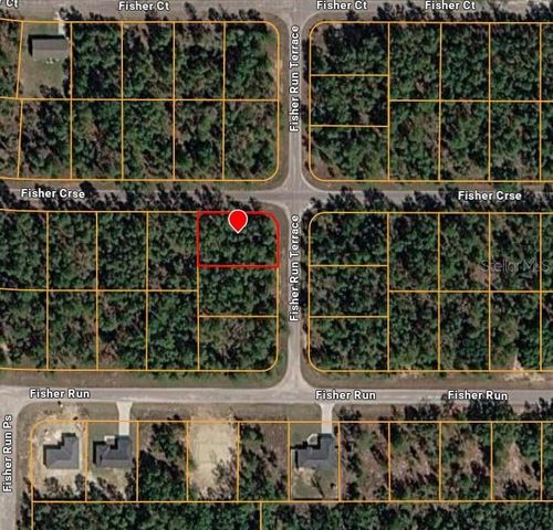 FISHER RUN TERRACE, Ocklawaha, FL 32179