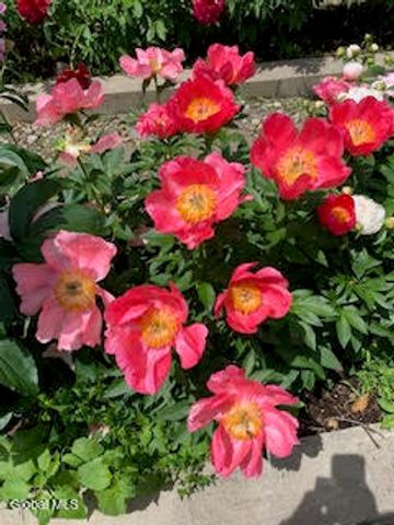 261 W Circular Street, Saratoga Springs, Inside, NY 12866