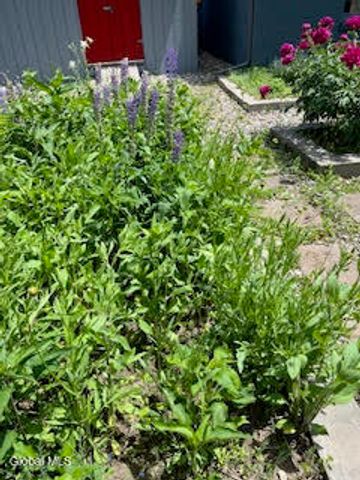 261 W Circular Street, Saratoga Springs, Inside, NY 12866