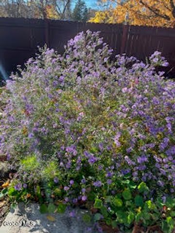 261 W Circular Street, Saratoga Springs, Inside, NY 12866