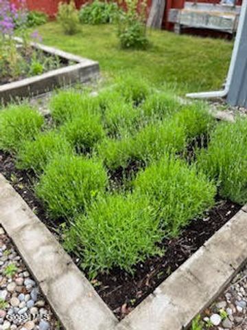 261 W Circular Street, Saratoga Springs, Inside, NY 12866