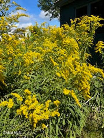 261 W Circular Street, Saratoga Springs, Inside, NY 12866