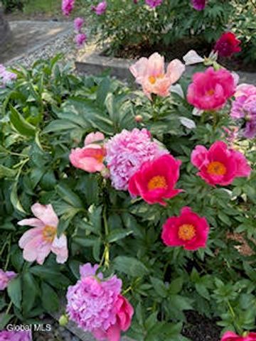 261 W Circular Street, Saratoga Springs, Inside, NY 12866