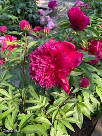 261 W Circular Street, Saratoga Springs, Inside, NY 12866