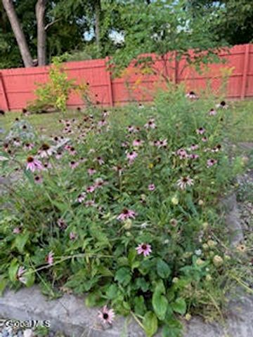 261 W Circular Street, Saratoga Springs, Inside, NY 12866