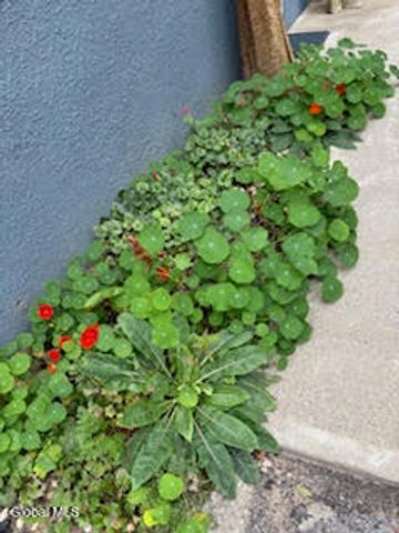 261 W Circular Street, Saratoga Springs, Inside, NY 12866