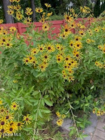 261 W Circular Street, Saratoga Springs, Inside, NY 12866