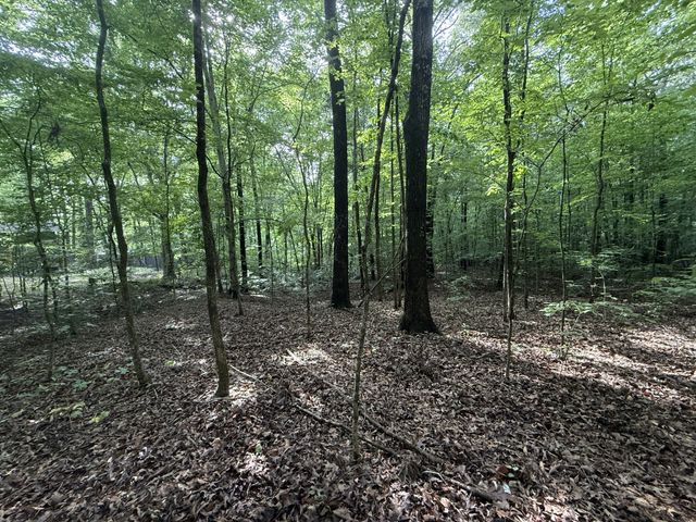 0 Caney Creek Rd, Stewart, TN 37175