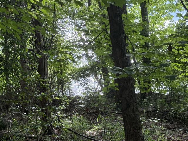 0 Caney Creek Rd, Stewart, TN 37175