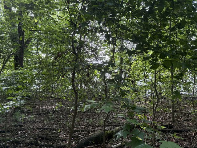 0 Caney Creek Rd, Stewart, TN 37175