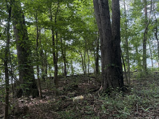 0 Caney Creek Rd, Stewart, TN 37175