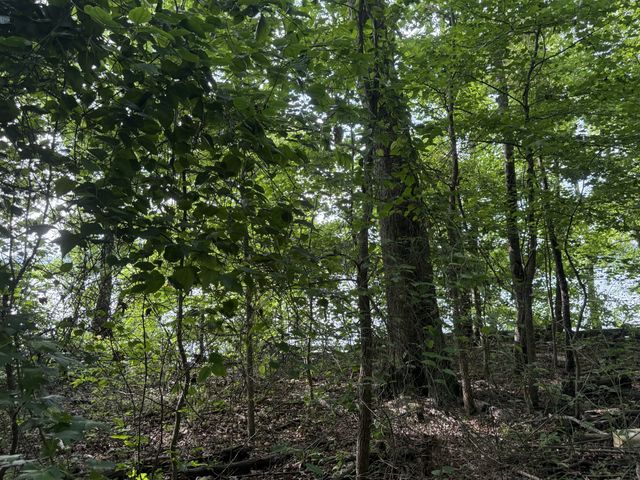 0 Caney Creek Rd, Stewart, TN 37175