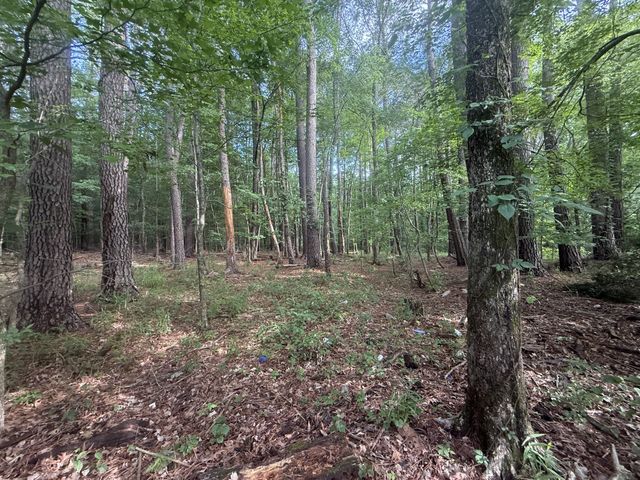 0 Caney Creek Rd, Stewart, TN 37175