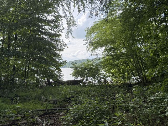 0 Caney Creek Rd, Stewart, TN 37175