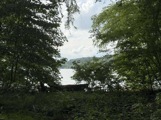 0 Caney Creek Rd, Stewart, TN 37175