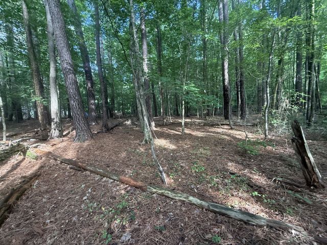 0 Caney Creek Rd, Stewart, TN 37175