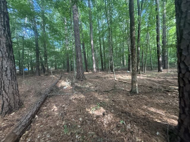 0 Caney Creek Rd, Stewart, TN 37175