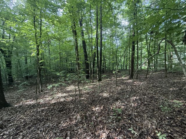 0 Caney Creek Rd, Stewart, TN 37175