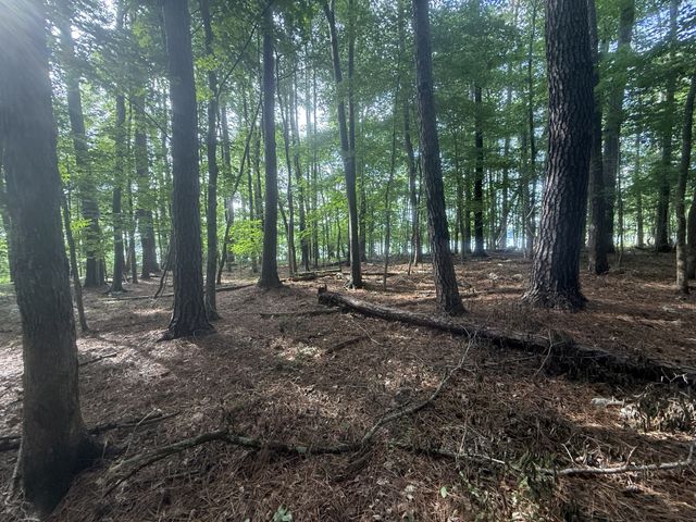 0 Caney Creek Rd, Stewart, TN 37175