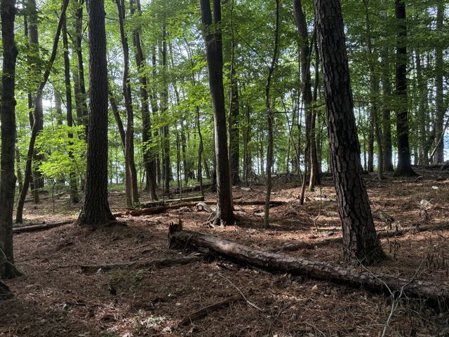 0 Caney Creek Rd, Stewart, TN 37175