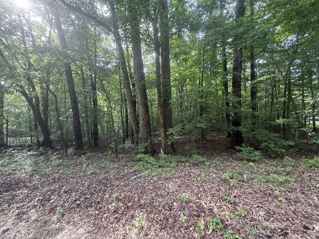 0 Caney Creek Rd, Stewart, TN 37175