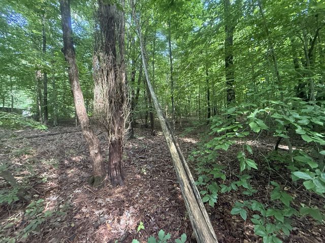 0 Caney Creek Rd, Stewart, TN 37175