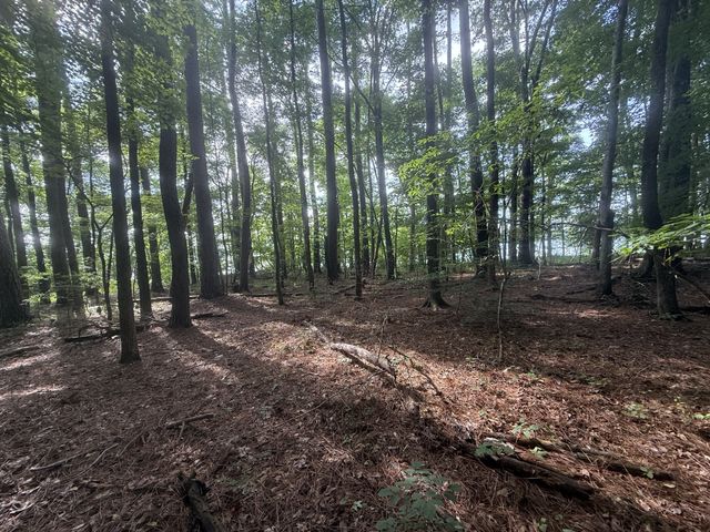 0 Caney Creek Rd, Stewart, TN 37175