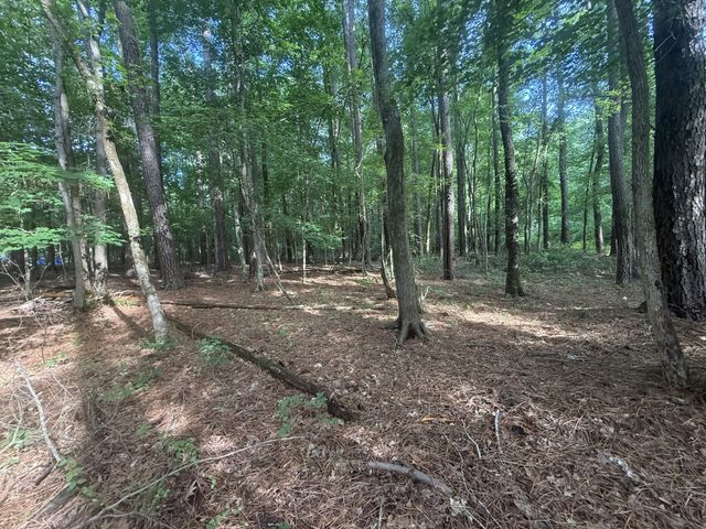 0 Caney Creek Rd, Stewart, TN 37175