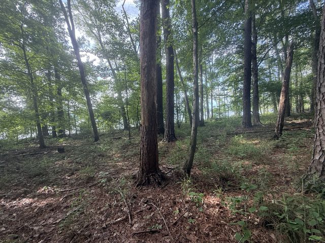 0 Caney Creek Rd, Stewart, TN 37175