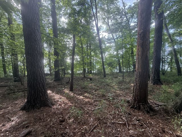 0 Caney Creek Rd, Stewart, TN 37175