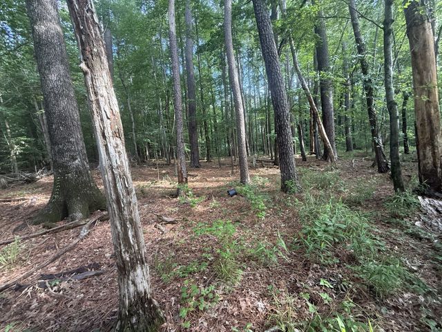 0 Caney Creek Rd, Stewart, TN 37175