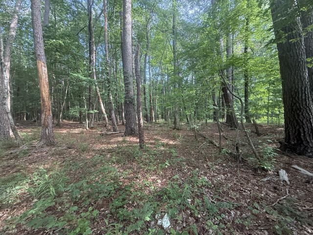 0 Caney Creek Rd, Stewart, TN 37175