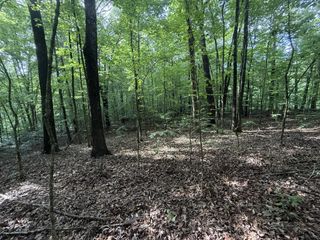 0 Caney Creek Rd, Stewart, TN 37175