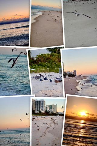 7300 Wayne Avenue 213, Miami Beach, FL 33141