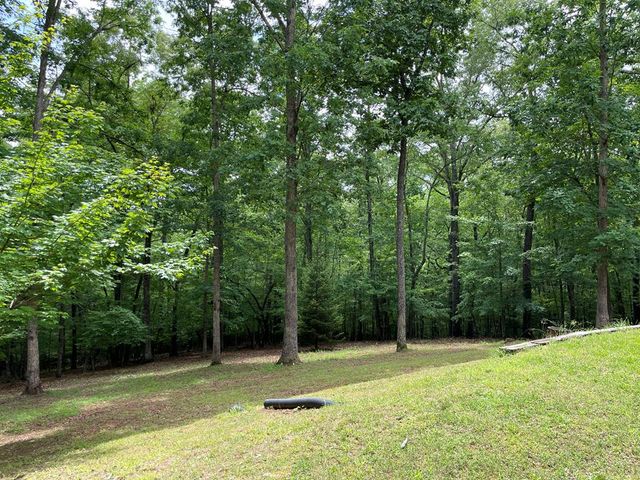 381 Ross Drive, Mineral Bluff, GA 30559