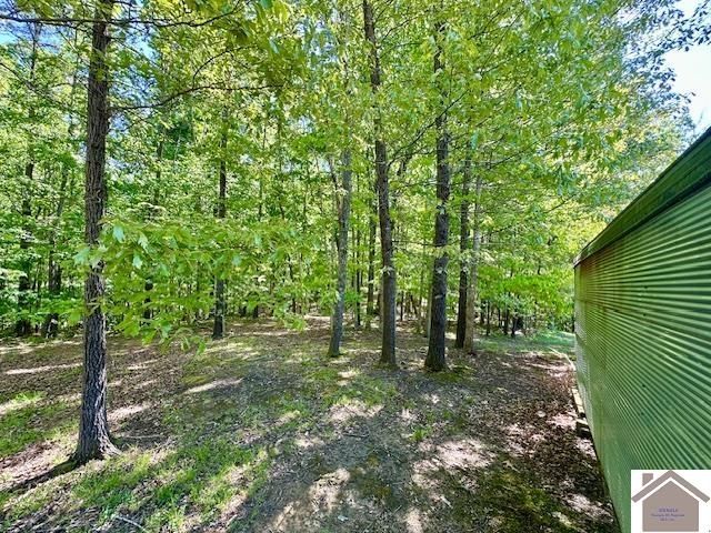 349 Hiatt Cemetery Rd, Benton, KY 42025