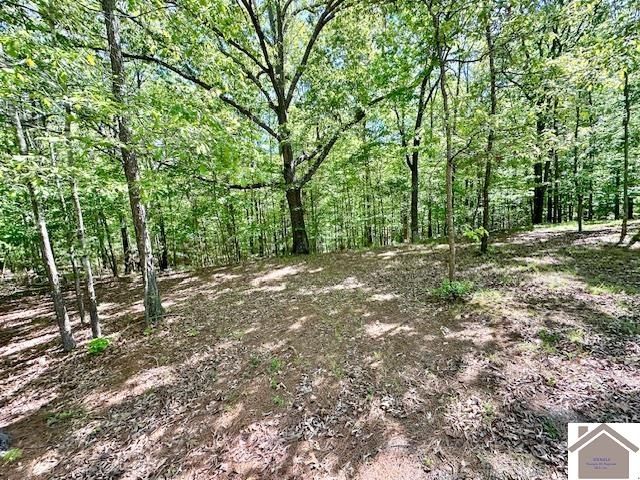 349 Hiatt Cemetery Rd, Benton, KY 42025