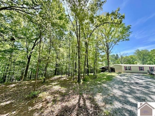 349 Hiatt Cemetery Rd, Benton, KY 42025