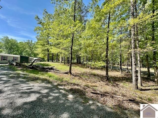 349 Hiatt Cemetery Rd, Benton, KY 42025