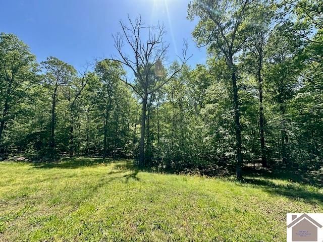 349 Hiatt Cemetery Rd, Benton, KY 42025