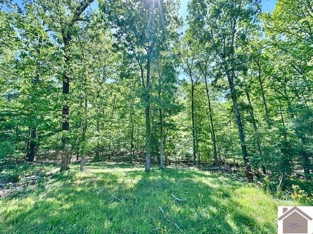 349 Hiatt Cemetery Rd, Benton, KY 42025