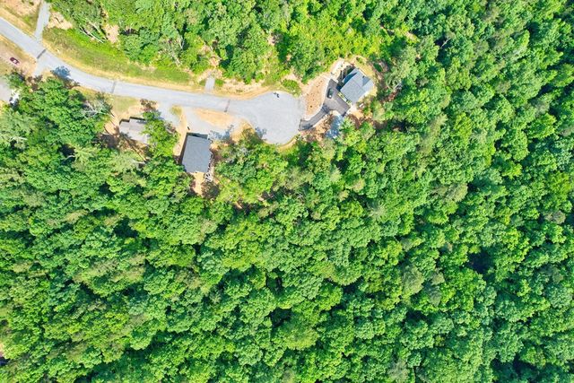 Lot 16 Lake Top Lane, Ellijay, GA 30540