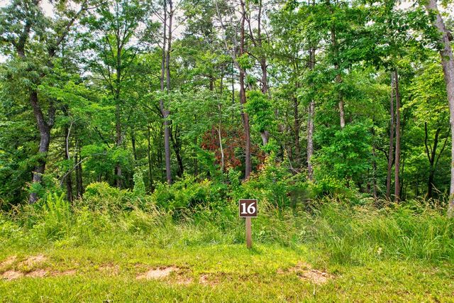 Lot 16 Lake Top Lane, Ellijay, GA 30540