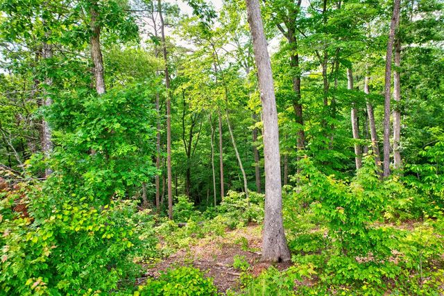 Lot 16 Lake Top Lane, Ellijay, GA 30540