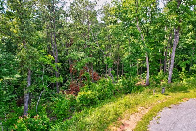 Lot 16 Lake Top Lane, Ellijay, GA 30540