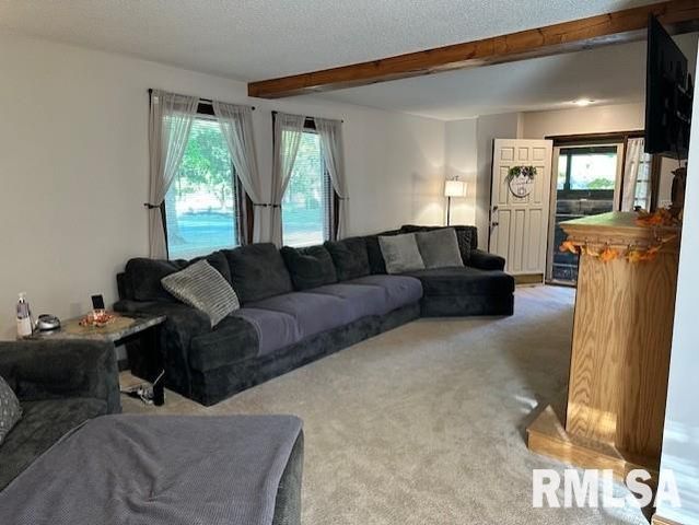 2 Springwater Drive, Jacksonville, IL 62650