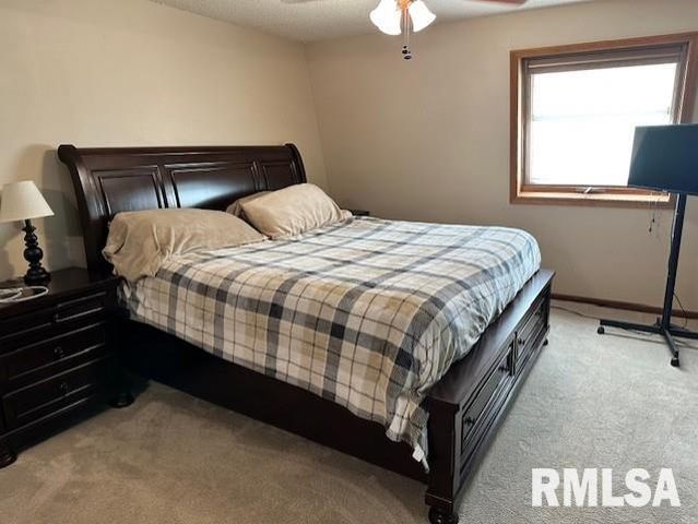 2 Springwater Drive, Jacksonville, IL 62650