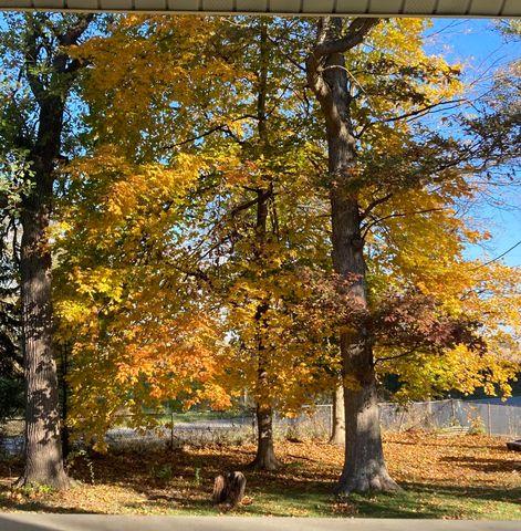 11709 Belshaw Road, Lowell, IN 46356