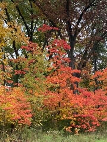 11709 Belshaw Road, Lowell, IN 46356