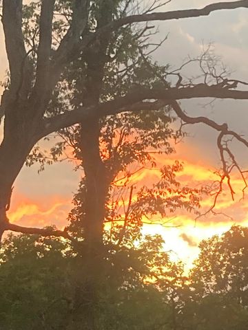 11709 Belshaw Road, Lowell, IN 46356